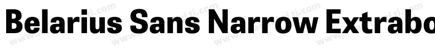 Belarius Sans Narrow Extrabold Obli字体转换